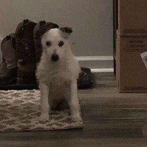 Meet your Posher, Beverly